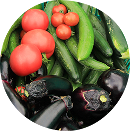 トマト、きゅうり、なすなどの新鮮な野菜の写真